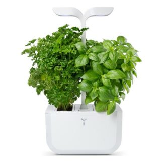 Potager d'interieur EXKY CLASSIC