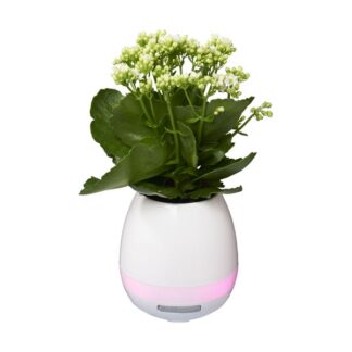Enceinte sans fil Bluetooth - pot de fleur