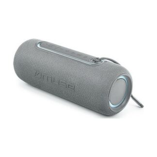 Enceintes sans fil Bluetooth - gris