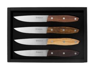 Coffret couteaux steak Stakni - 4 pieces