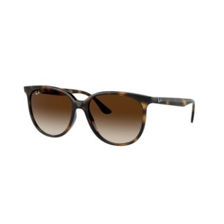 Lunettes de soleil pour femme RB4378 - poli havana