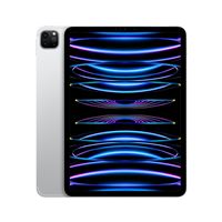 Apple iPad Pro 11" Puce Apple M2 1To Argent Wifi Cellular Fin 2022