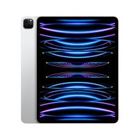 Apple iPad Pro 12,9" Puce Apple M2 2To Argent Wifi Fin 2022