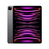 Apple iPad Pro 12,9" Puce Apple M2 2To Gris Sidéral Wifi Fin 2022