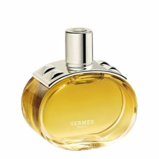 HERMÈS Barénia Intense