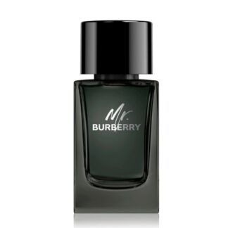 BURBERRY Mr Burberry