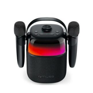 Enceintes sans fil Bluetooth Karaoke - noir