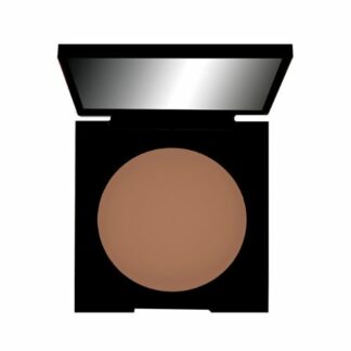 PARISAX Palette Terre de Soleil - Effet Bonne Mine 50 G
